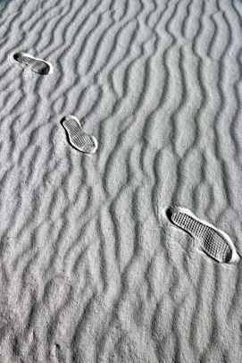 IMG_1395-PatternDisruption