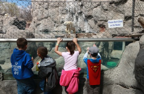 Superman At the Zoo 1/200 sec.; F/11; ISO-400; 24mm; Metering Mode: Center Weighted Average 