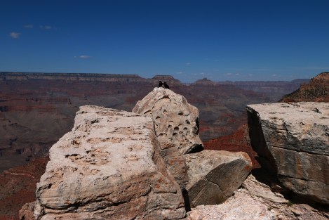 Grand Canyon South Rim: Two Crows