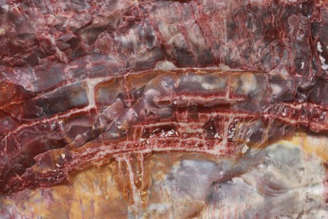 IMG_0240-ChrystalForestCloseup-Small