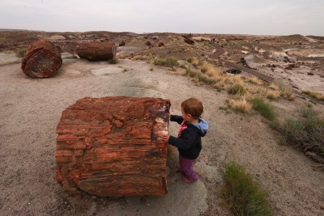 IMG_0372-ChrystalForest-Small