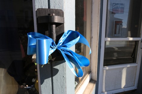 IMG_0854-MheadBlueRibbonSMALL