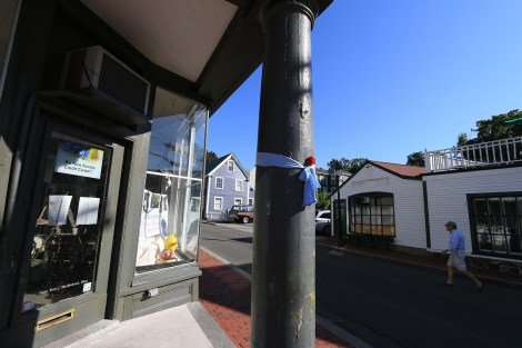 IMG_0916-MheadBlueRibbonSMALL