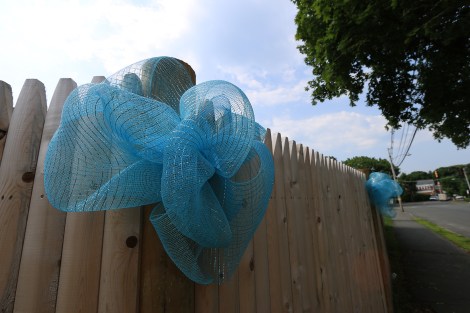 IMG_1698-Mhead-BlueRibbonSMALL