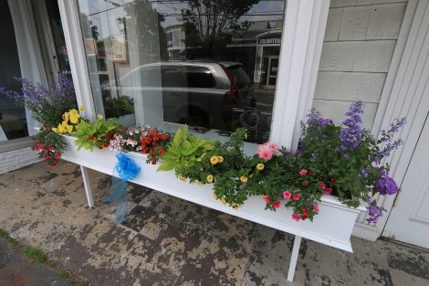 IMG_1702-MheadBlueRibbonSMALL