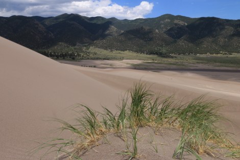 IMG_1949-GreatDunes-GrassonDunesSMALL