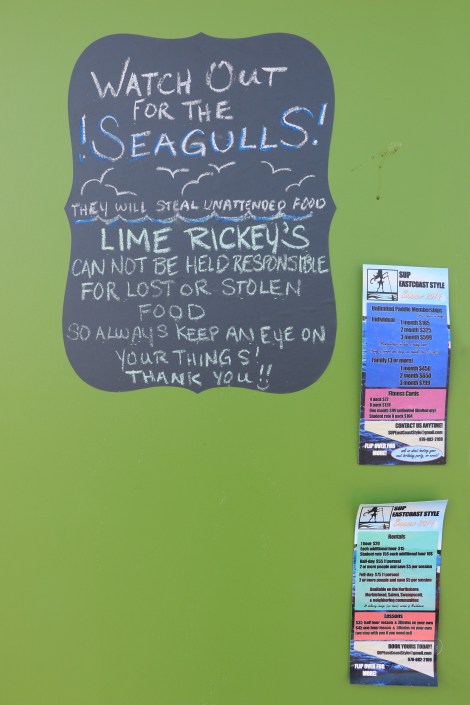 IMG_3486-MarbleheadSeagulls