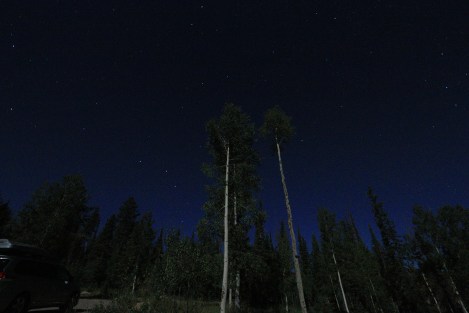 IMG_9421-DemotteNightSkySMALL