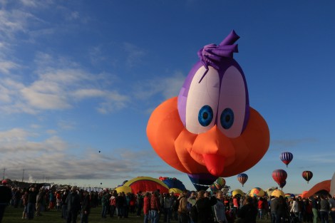 IMG_6835-Speedy-Crowdpleaser