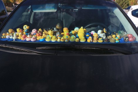 IMG_7202DucksOnTheDashSNAPMAMMAS