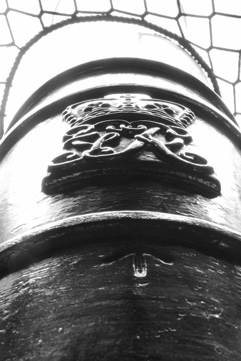 IMG_3984-constitutionCanon