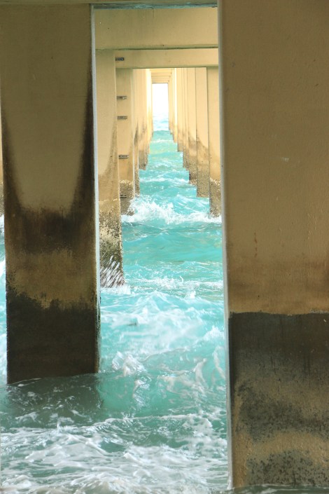 IMG_0700-Pilings-FLICKR