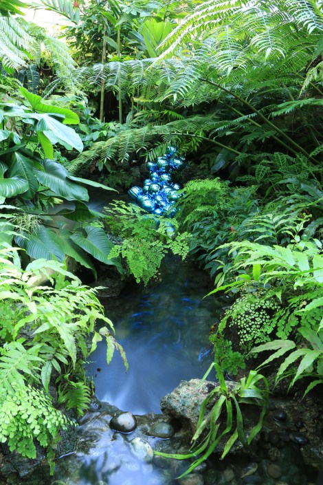 IMG_1564 BlueFishBallsSMALL