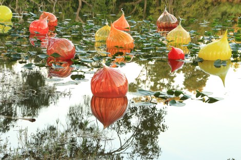 IMG_1619-WallaWallLilliesSMALL