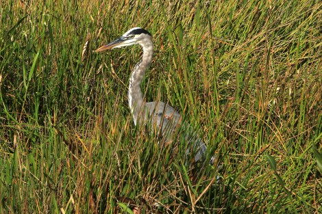 IMG_1696 Tonmapped SMALL