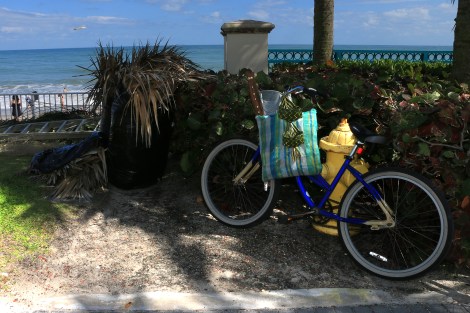 IMG_3895-VeroBeachCropSMALL