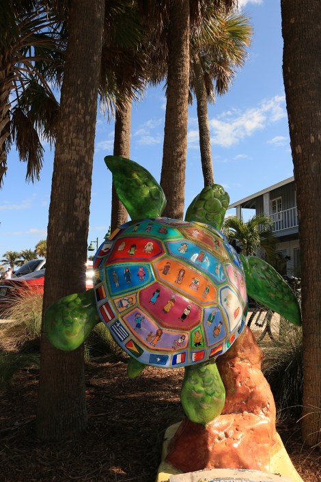 IMG_3911-TURTLESMALL