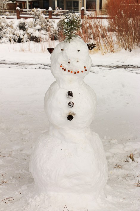 IMG_5144-snowmanSMALL