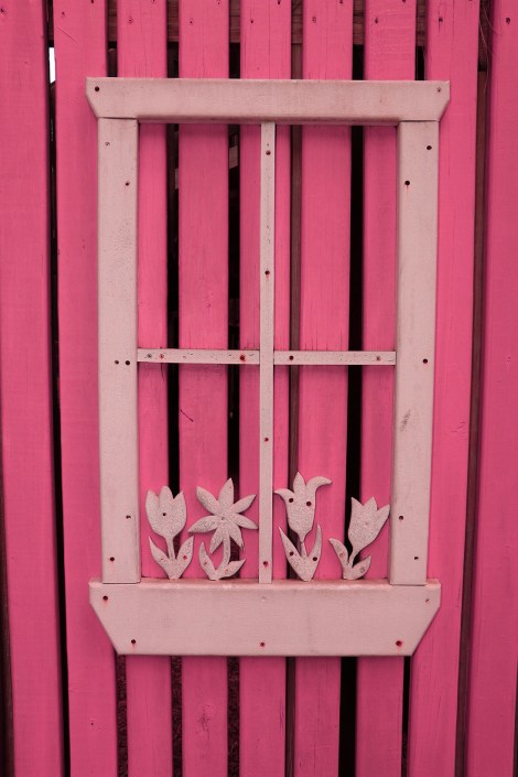 IMG_4064 HueEnhanced-SMALL