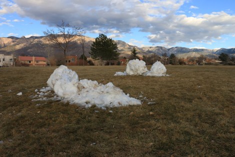 IMG_5412-DayAfterSnow-SMALL