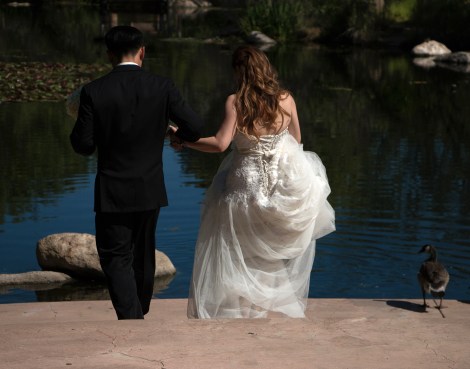 6-14-2015-BioParkBride-7035-Flickr