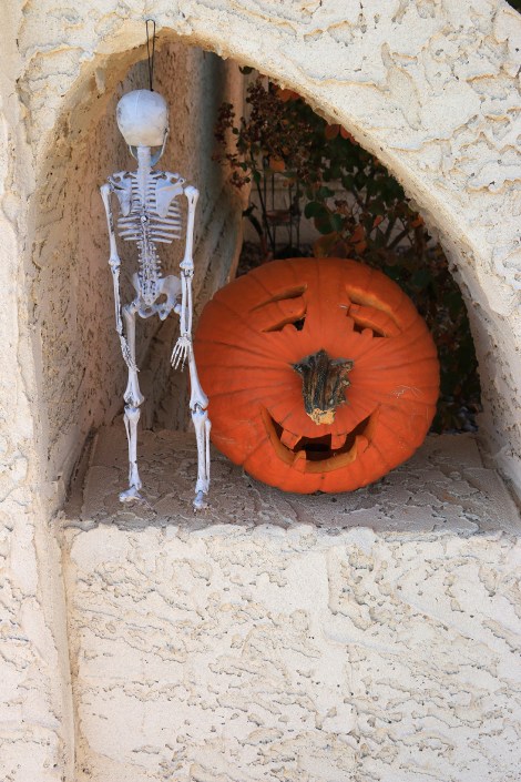 IMG_8447 - Snapmammas2015