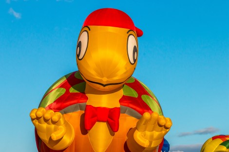 MorningAscension-turtle-2644-SMALL