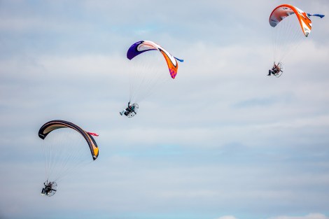 Parabatix-3213-SMALL