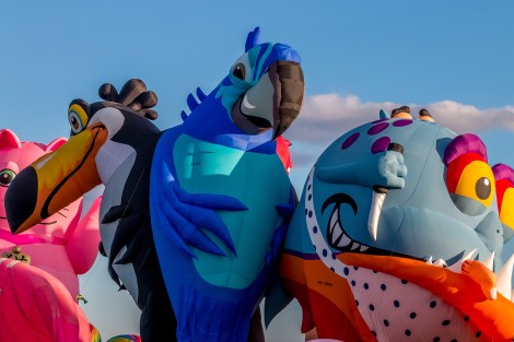 Balloon Fiesta 2015 | MorningAscension @ 6:57:09 53AM