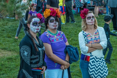 DDLM-candid-4593-small