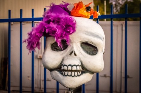 DDLM-FloatSkeleton-4670-2-SMALL