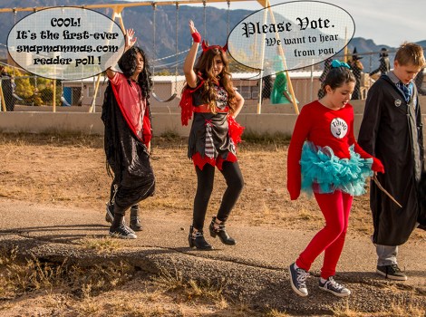 TAKE OUR FIRST-EVER SITE POLL