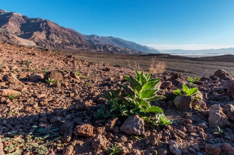 DeathValley-ArtistPaletteLandscape-5672-small