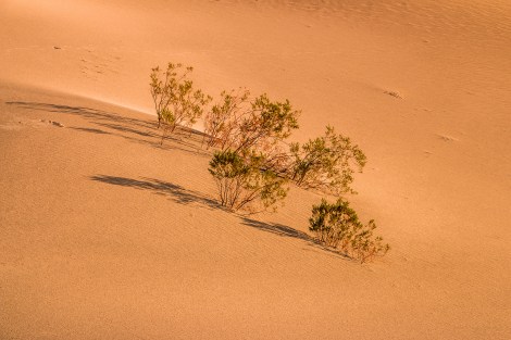 DeathValley-MesquiteFlatSandDunes-cluster-5832-small