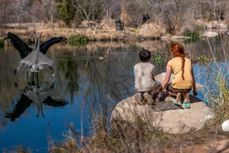 BioparkWithKids-Day2-7495-SNAPMAMMAS