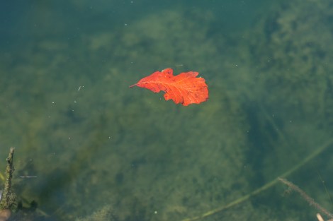 BioparkWithKids-Day2-7512-small