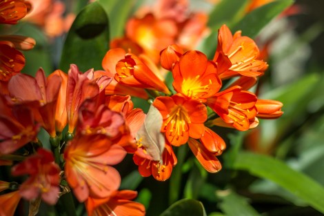 BioparkWithKids-Day2-7534-small