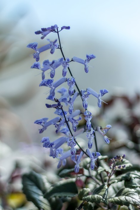 BioparkWithKids-Day2-7565-small