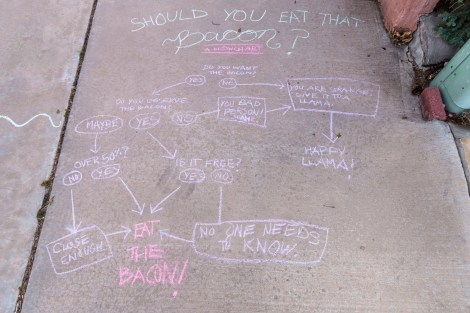 BaconToALlama-7908-web