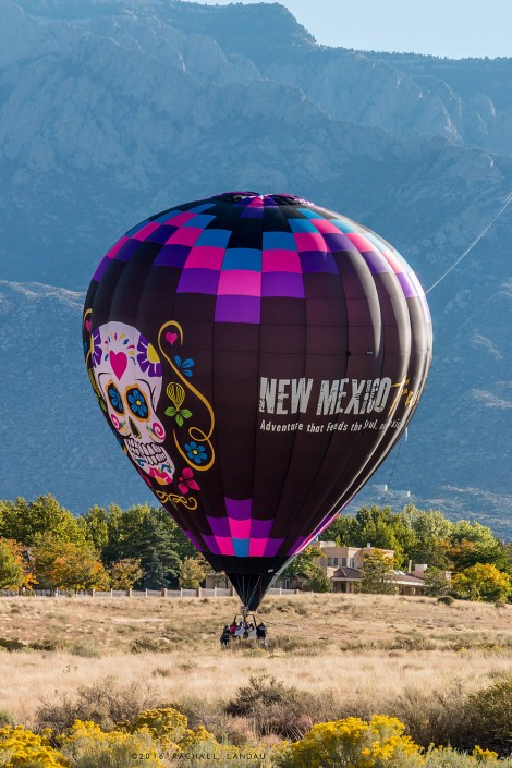 newmexicotrueballoon-arroyo-7384-sig-web
