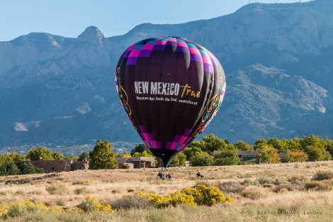 newmexicotrueballoon-arroyo-7385-sig-web