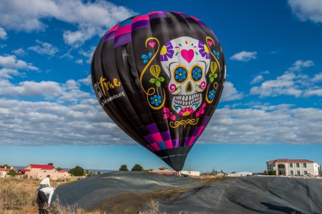 newmexicotrueballoon-arroyo-7395-sig-web