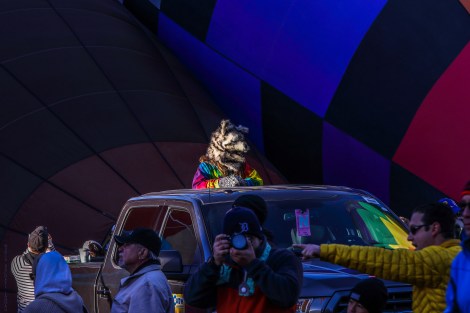 30253534033_ebed991927_k