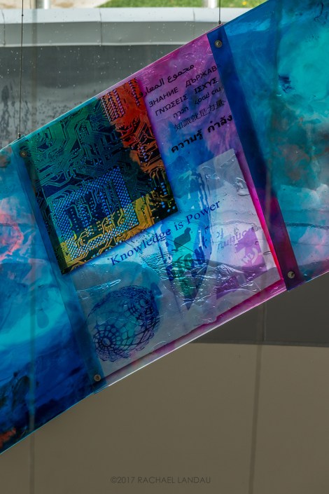 Closeup-0989-snapmammas-SIG