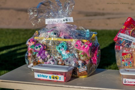 BasketNight2017-1496-sigweb