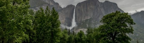 Yosemite Flooded Meadow