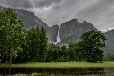 Yosemite Flooded Meadow