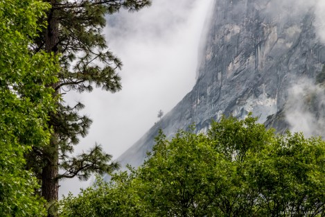 Yosemite-FOGGY-1976-SIGweb