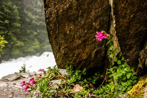 PrideOfTheMountain-6162-edit-sigWEB