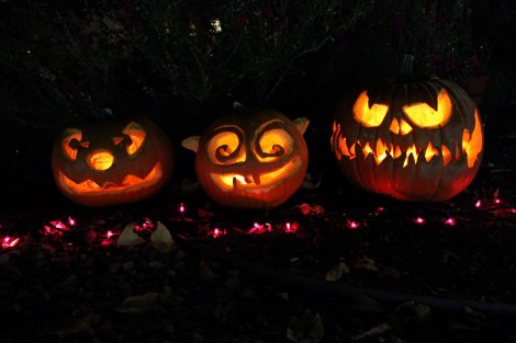 20171031181355_IMG_9009